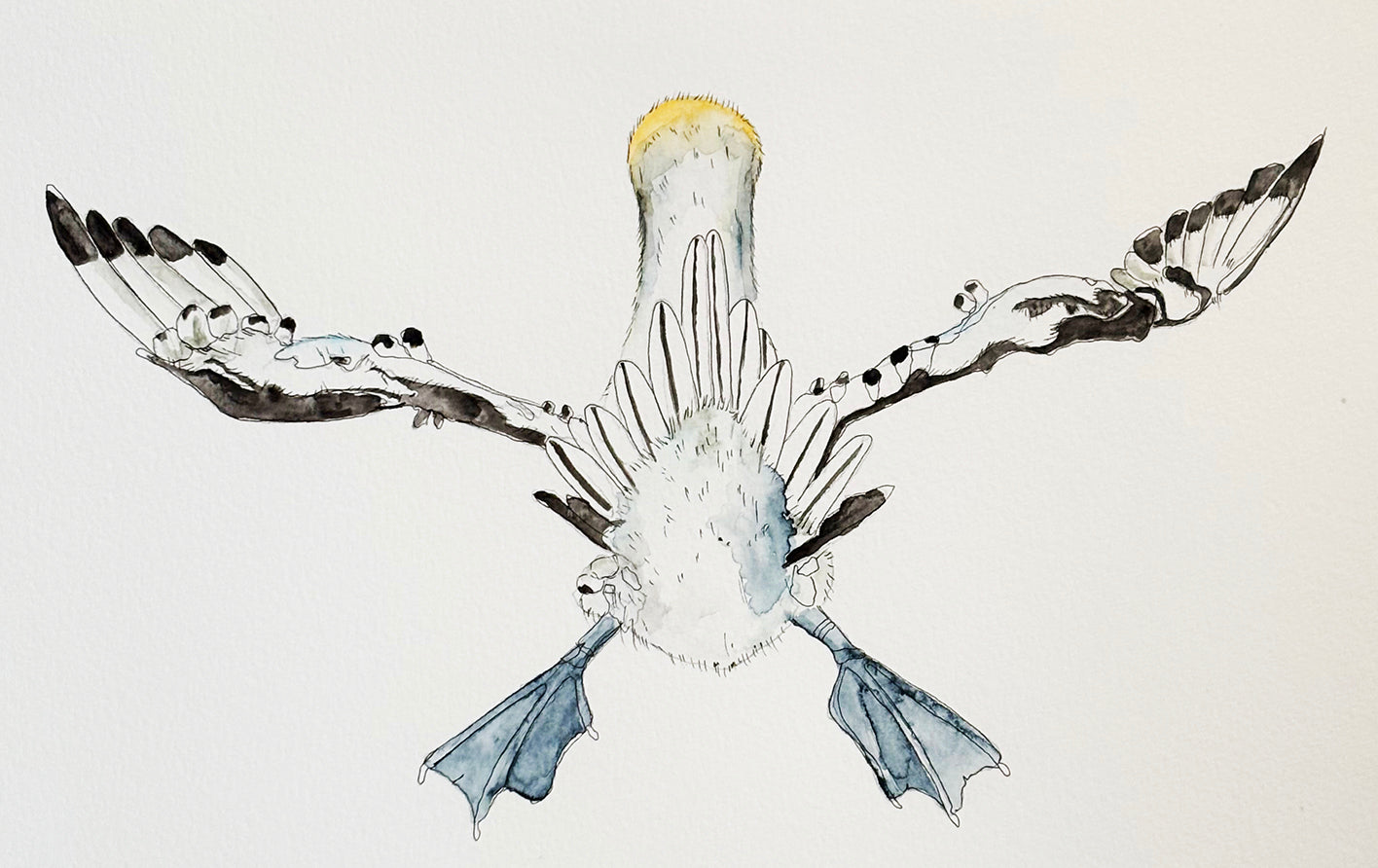 Balancing through life