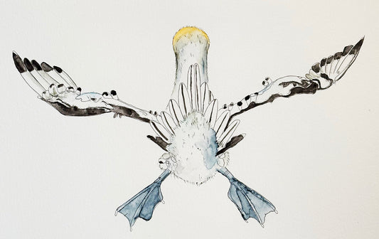 Balancing through life