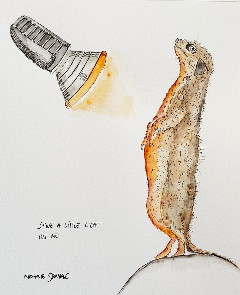 Shine a little light on me
