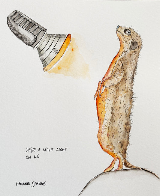 Shine a little light on me