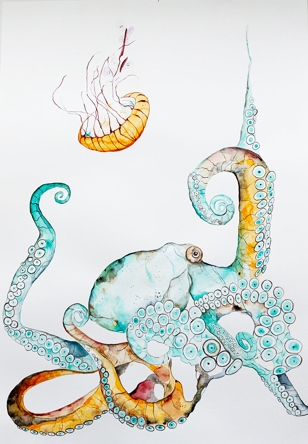 Octopus